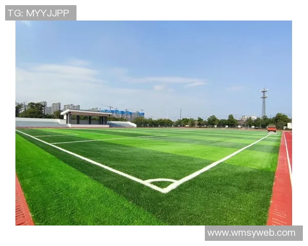 探索中国最好的足球场：设施历史与未来发展全景解析